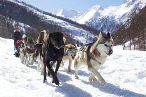 Bed & Breakfast Le Chalet Viso