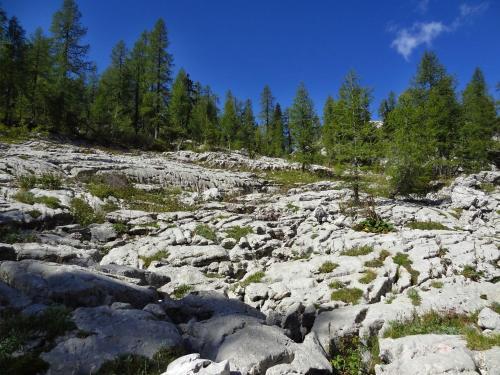 Holiday Home Apartment Zupancic 2