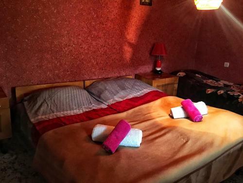 Hostal Mestia Valeris Guesthouse