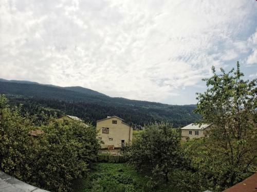 Hostal Mestia Valeris Guesthouse