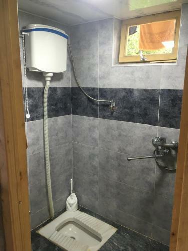 Hostal Mestia Valeris Guesthouse