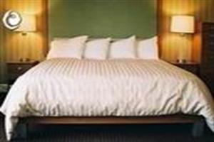 Executive Airport Plaza Hotel & Conference