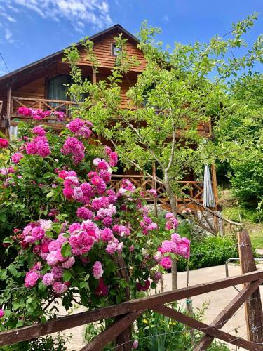Hostal Guest House Mtirala National Park