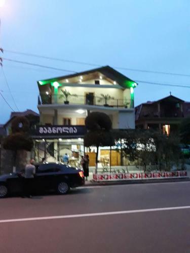 Magnolia Hotel Agmashenebeli