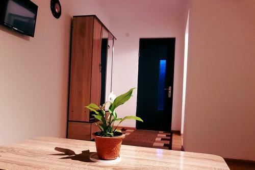 Hostal Family Hotel