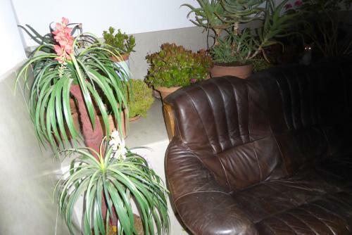 Kutaisi Hotel California