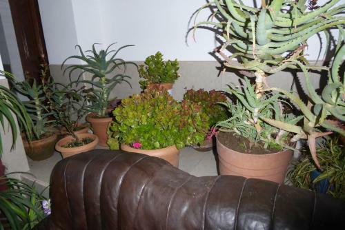 Kutaisi Hotel California