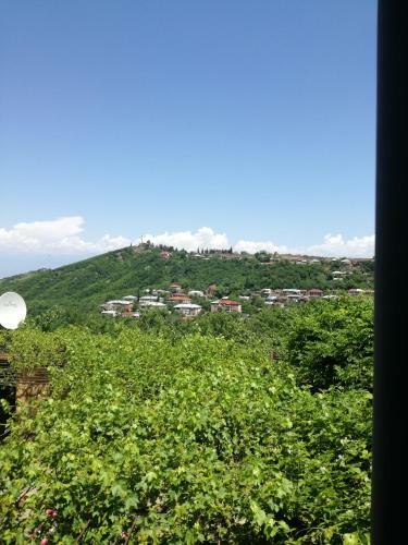 Hostal Guest House Irma