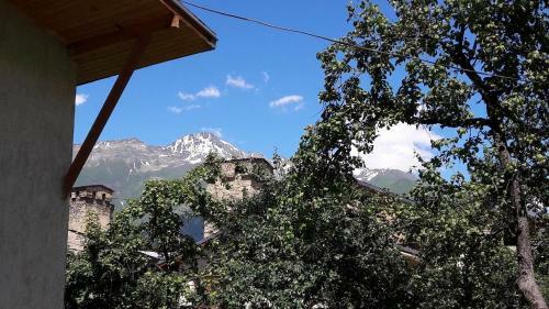 Hostal Guesthouse Edelweiss