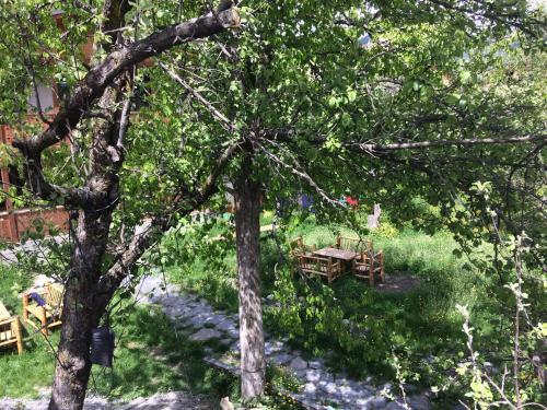 Hostal Guesthouse Edelweiss