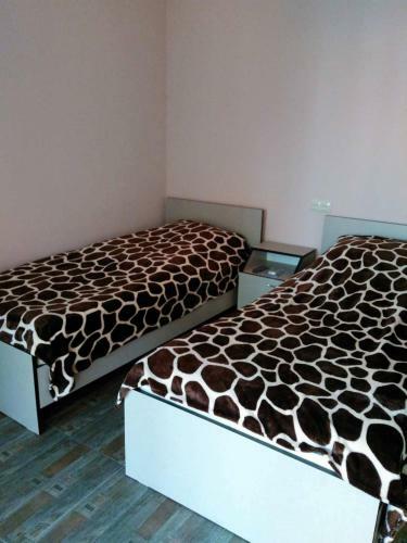 Hostal Guest House Caucasian Patio