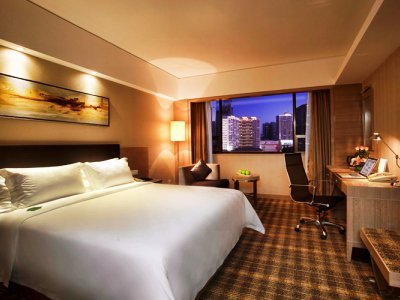 Hotel Grand Skylight (deluxe)