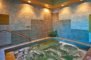 Hotel Holiday Inn Select Oakville