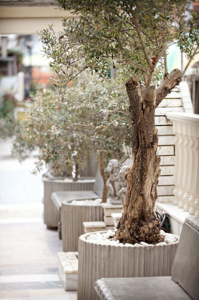 Parthenon Art Hotel
