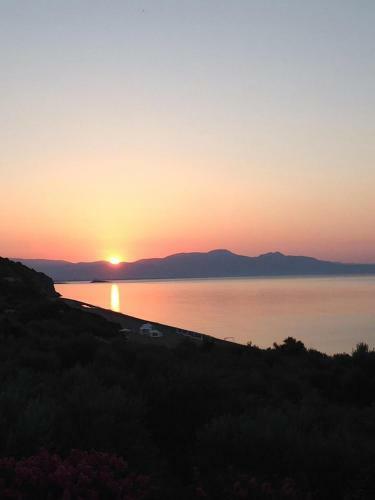 Apartamento The Olive Yard