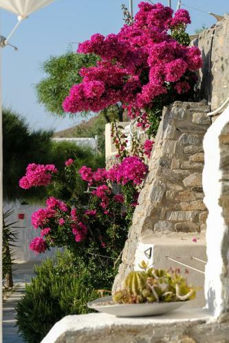 3 Paros *all Season* Villas