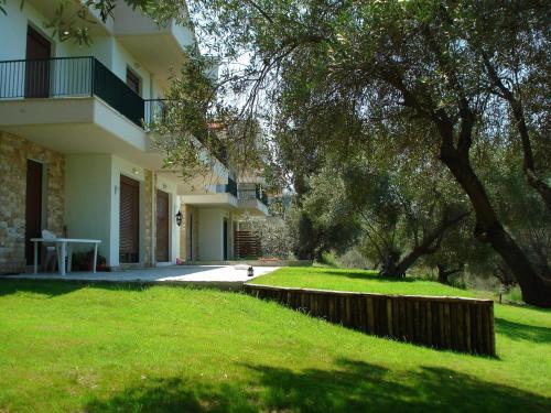 Oliveto