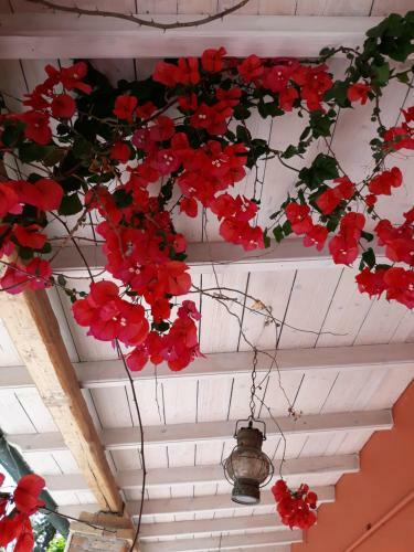 Efi & Sofia Apartments