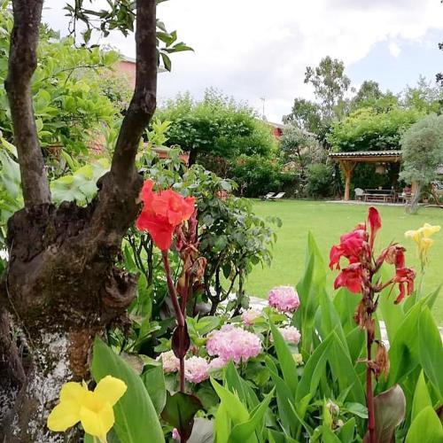 Efi & Sofia Apartments