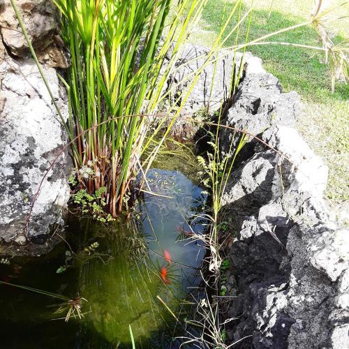 Efi & Sofia Apartments