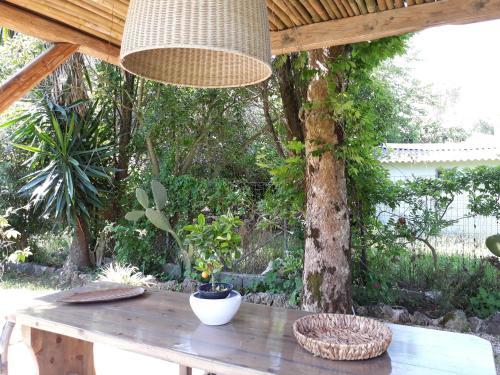 Efi & Sofia Apartments