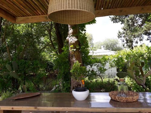 Efi & Sofia Apartments