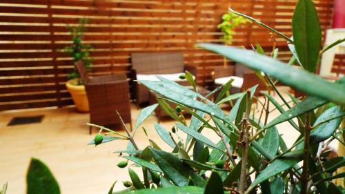 Apartamento Argo Maisonettes & Suites
