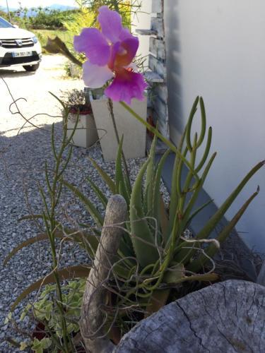 Les G�tes De Casita