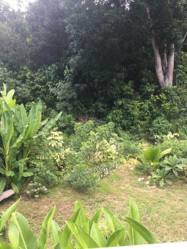 Les G�tes De Casita