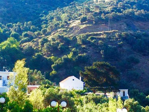 Hostal Saint George Boutique Hotel