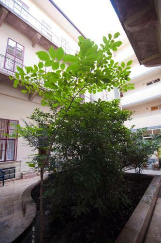 Grand Market Luxury Apartments