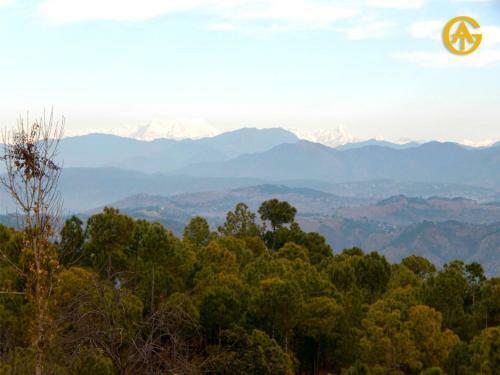 Villa V Resorts Queens Meadows Ranikhet
