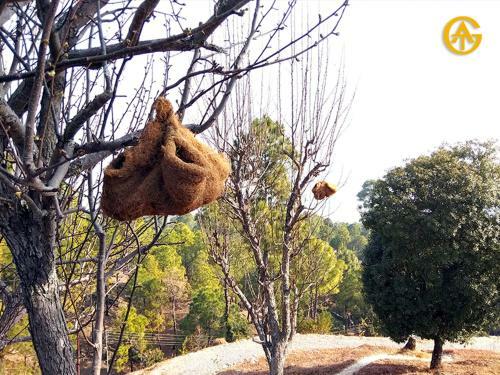Villa V Resorts Queens Meadows Ranikhet