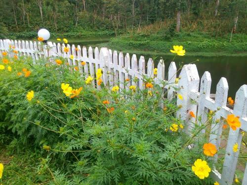 Agroturismo Tabernacle Plantation Thekkady