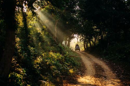 Hotel Corbett - Treetop Riverview; A Sterling Holidays Resort
