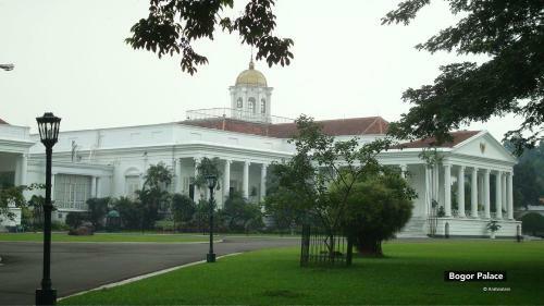 Hotel Citrus House
