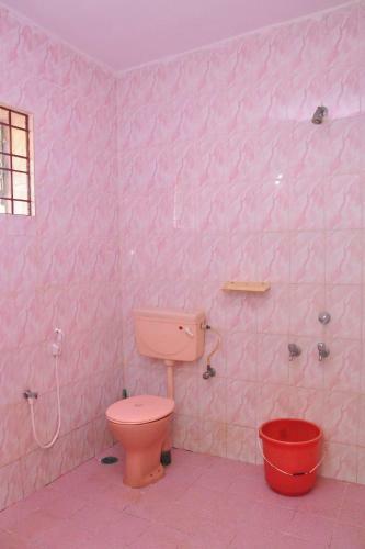 Hostal Castelinho's Home Away From Home