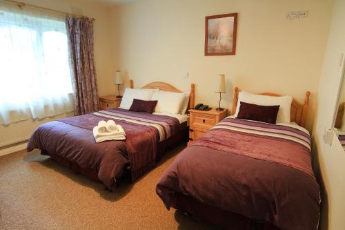 Hostal Hamill's Bed And Breakfast