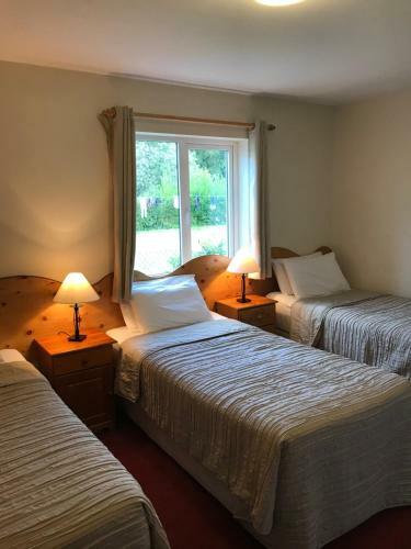 Hostal San Antonio Guesthouse