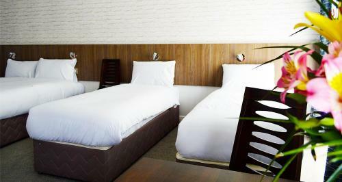 Hotel Slaney Suites