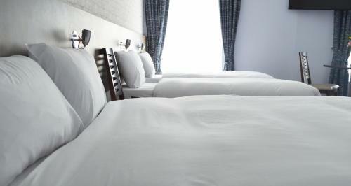 Hotel Slaney Suites
