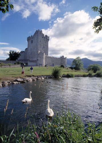 Hostal Abbey Lodge