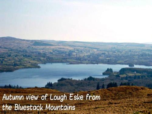 Bed & Breakfast Arches Country House