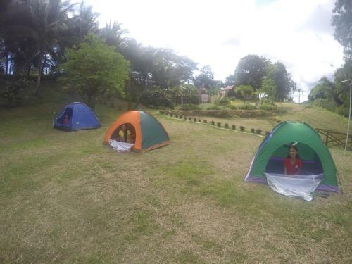 Hotel Al Hamra Jungle Resort