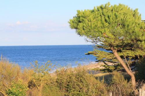 Le Phare