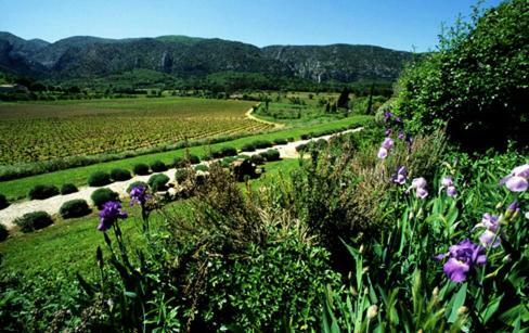 Bastide Le Mourre