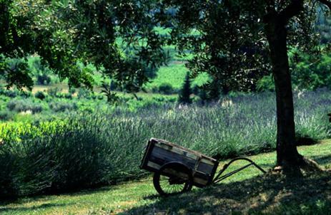 Bastide Le Mourre