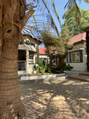 Hotel Jungle Beach Resort