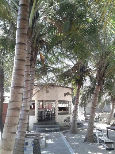 Hotel Jungle Beach Resort