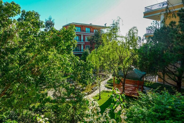 Luxury Dreamland Oasis Apartments
